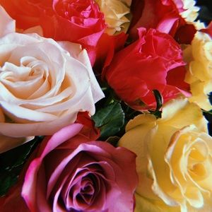 Meet your Posher, Carmen